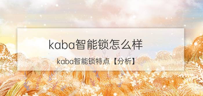 kaba智能锁怎么样 kaba智能锁特点【分析】